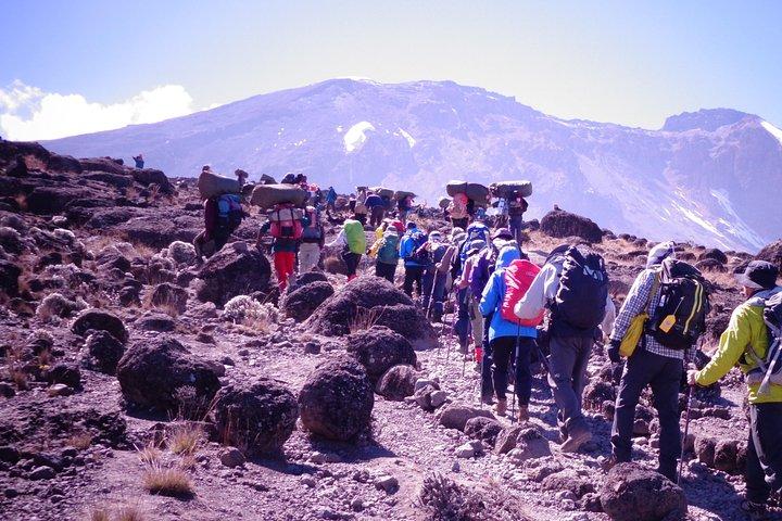 マチャメルート経由の1日キリマンジャロ登山