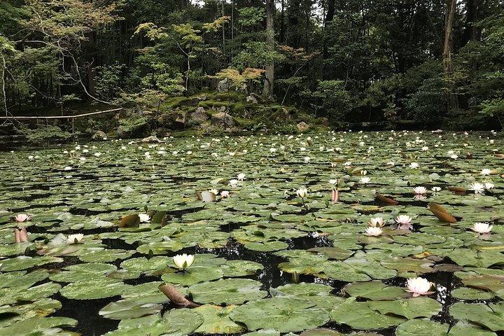 Kyoto: The Path Less Traveled (Private)