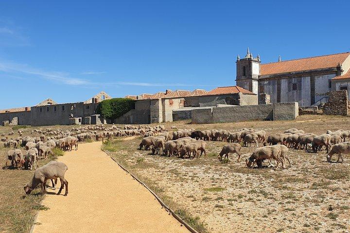 Tour Sesimbra / Cabo Espichel / Aldeia Meco