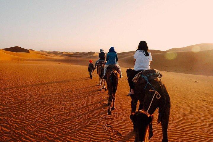 Gruppo condiviso Fez a Marrakech attraverso il tour del deserto di Merzouga 2 giorni