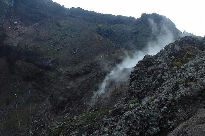 Transfer from Naples to Positano with a 2hr stop at Mount Vesuvius(1-8 PAX)