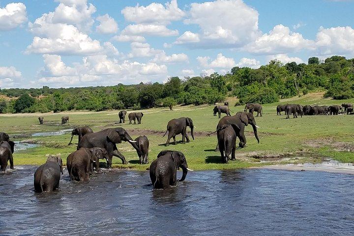 5 Tage 4 Nächte Budget Abenteuer Safari in Victoria Falls & Chobe National Park