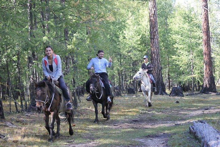 7 dages hestevandring i hjertet af Mongoliet og nomadisk liv
