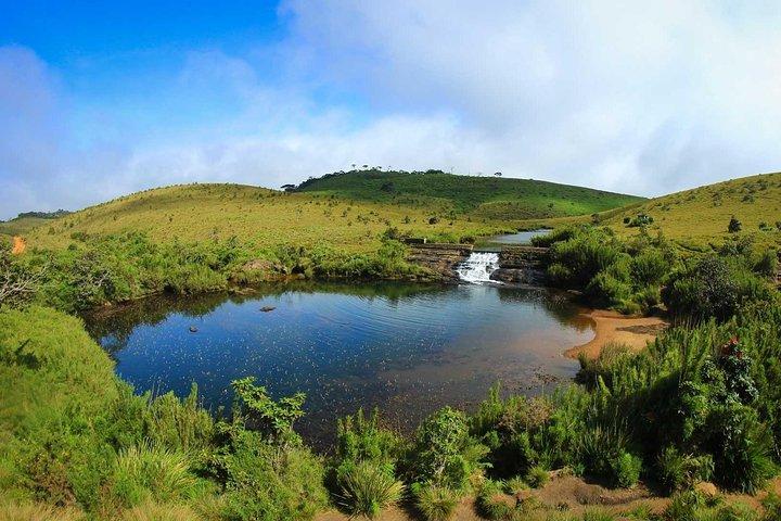 Tour di un giorno a Horton Plains con breve viaggio in treno da Ella