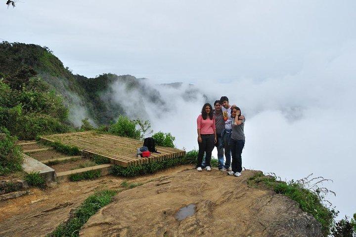 Tour di un giorno a Horton Plains con breve viaggio in treno da Ella