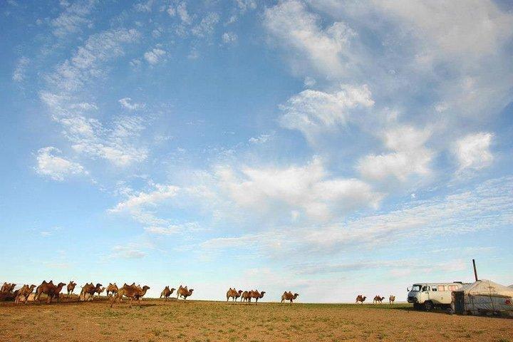 12 dage Gobi-ørkenen og ekspress Mongoliet