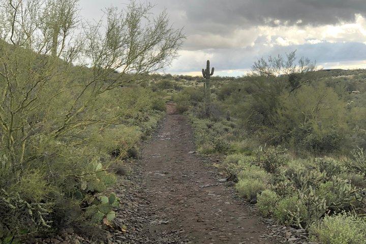 Contactez-nous pour réserver votre temps. Meilleurs Trail Rides en Arizona.
