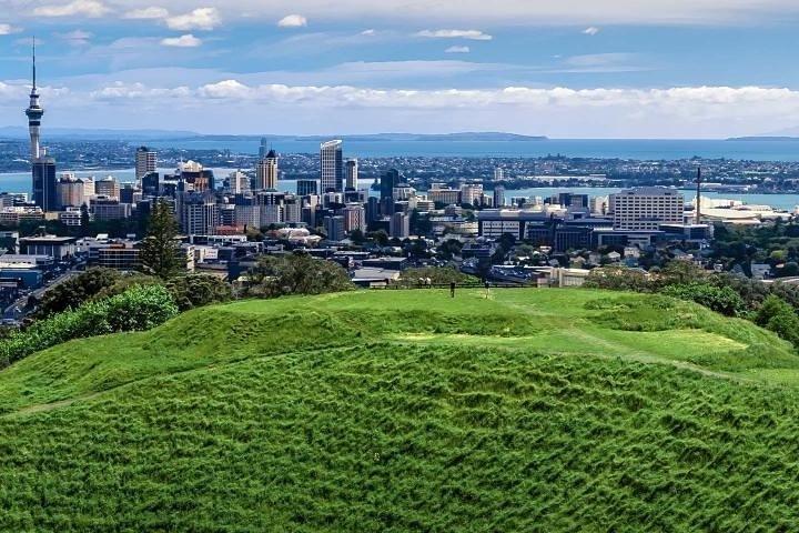 カップル向けのオークランド市のプライベートツアー。エキストラを追加して運転手が運転します。