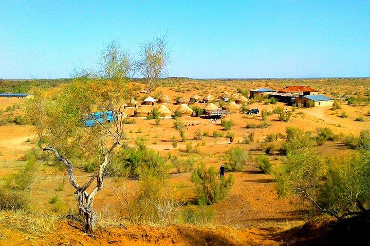 Excursão Aydarkul e Nurata (1 noite 2 dias)