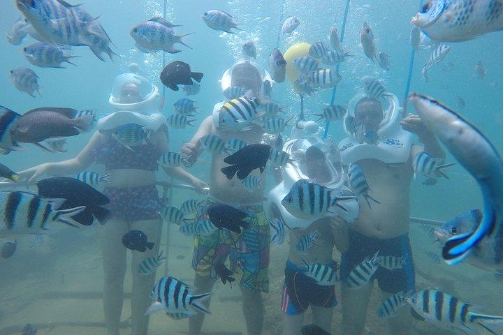 Cham Island Sea Trek og Snorkling af Speedboat
