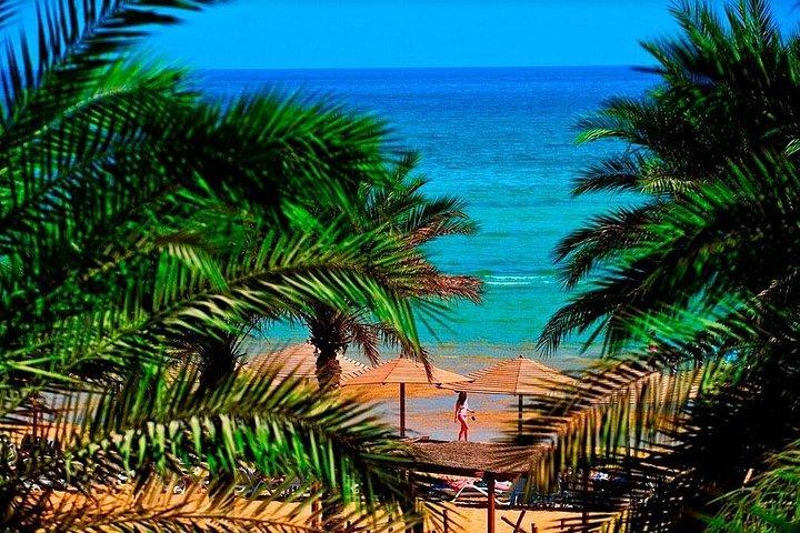 Red sea Day Trip