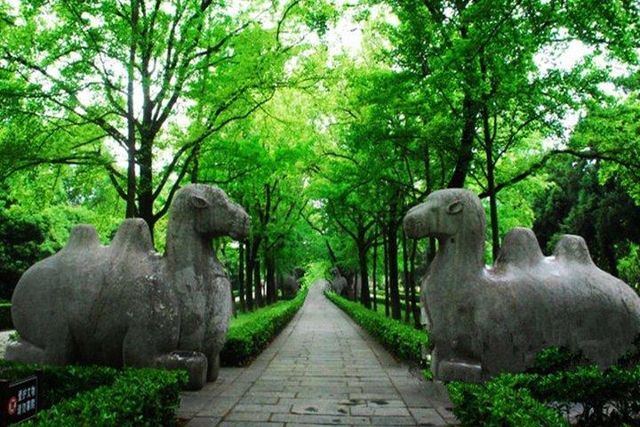 昼食付き南京紫山のプライベート詳細ツアー