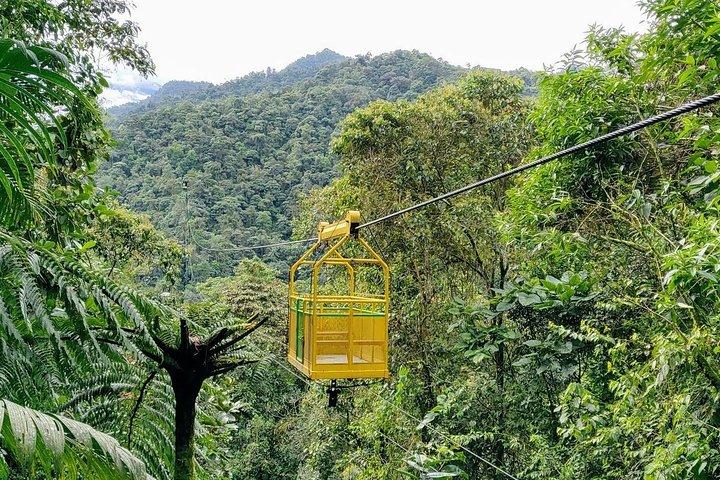 Día completo Mindo desde Quito - Tours Privados