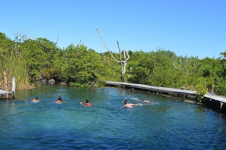 Descubra as maravilhas de Holbox, Cenote e Passion Island. Transporte incluído