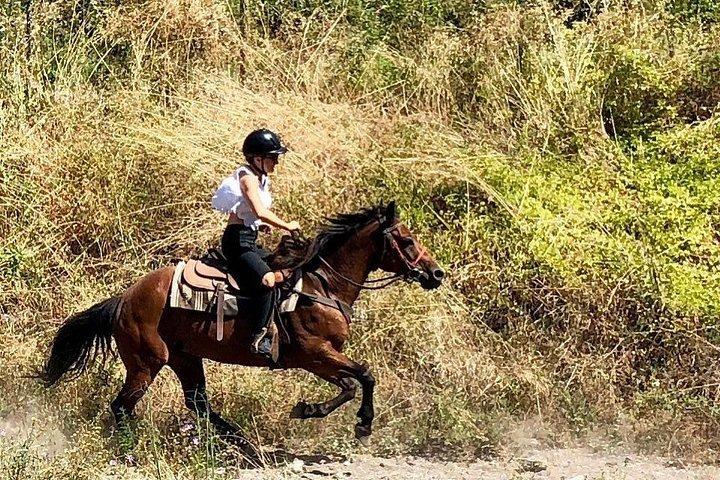 Passeio a cavalo guiado pelo Monte Vesúvio com amostra de vinho