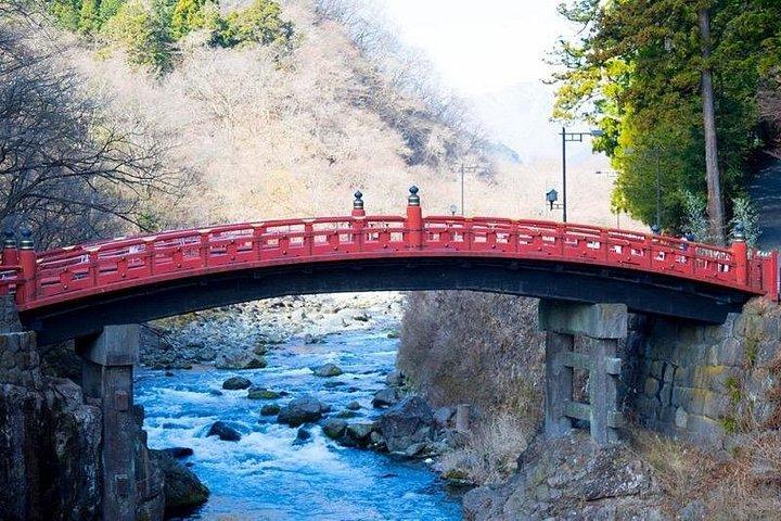 ご家族限定、車で行く日光とちぎ一日プライベートツアー