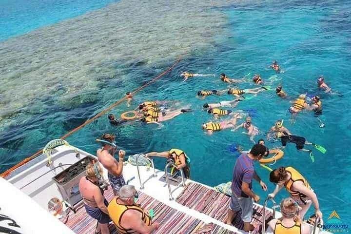 Diving Trip In El Fanara Beach
