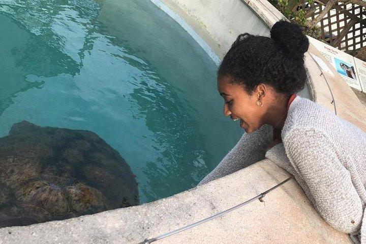 Experiência de um dia nas Bermudas Gems e Private Resort Beach