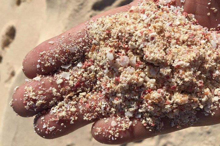 Experiência de um dia nas Bermudas Gems e Private Resort Beach