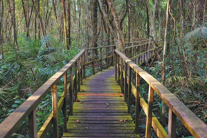 Visita extraordinaria al centro de conservación de Lekki