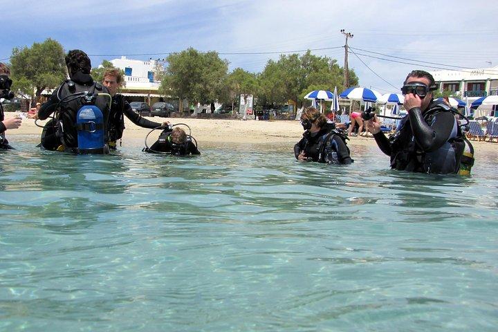 Scuba Diving in Naxos by Bluefindivers - Dive in Greece - Amazing Diving Spots