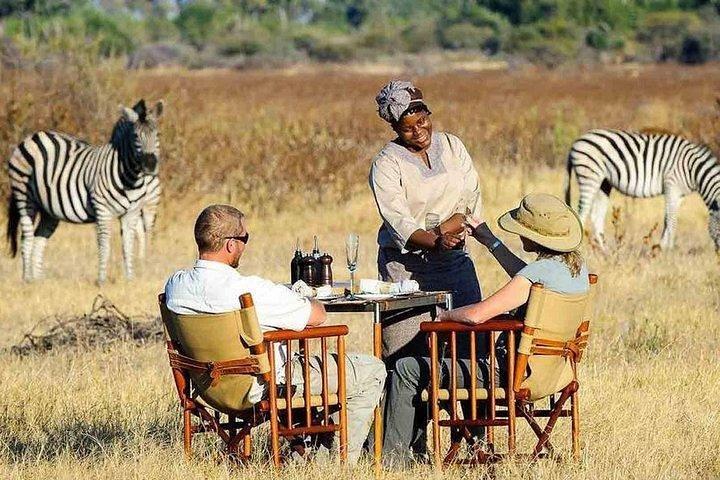 Tour di 6 giorni in luna di miele in Sud Africa: Città del Capo, Johannesburg e Durban