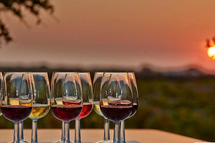 Semi - Privat vin tur - gennem druerne
