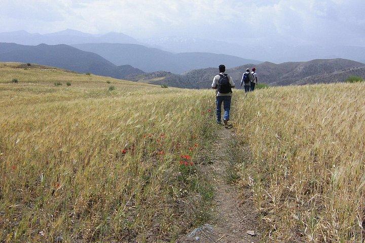アトラス山脈の半日ウォーク-ユニークな体験