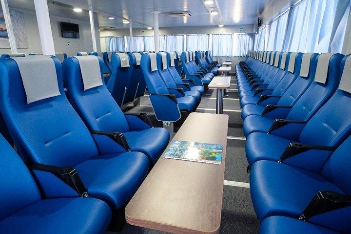 Split Cruise To Bimini & Kostenloser Transport!