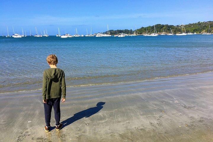 Waiheke Island Experience Tour