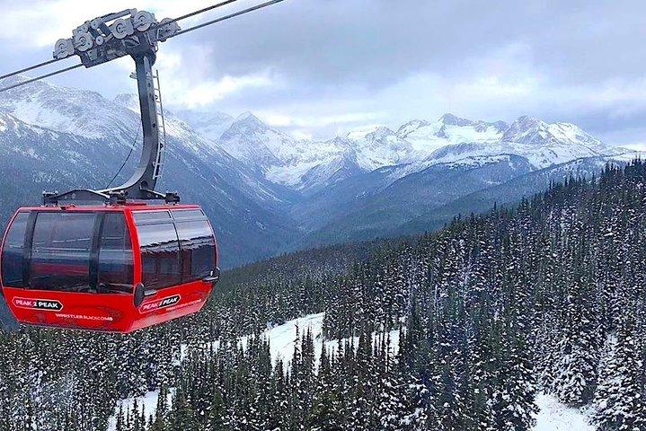 Whistler sightseeingtur från Vancouver: Se Horseshoe Bay och Shannon Falls