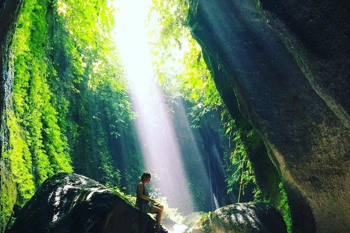 Découvrez la nature de Bali