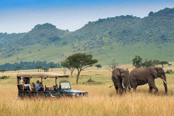 11 Days Elewana Luxury Safari Packages