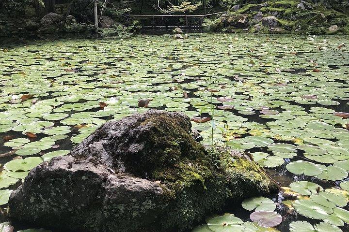 Kyoto: Zen Garden, Zen Mind (Privat)