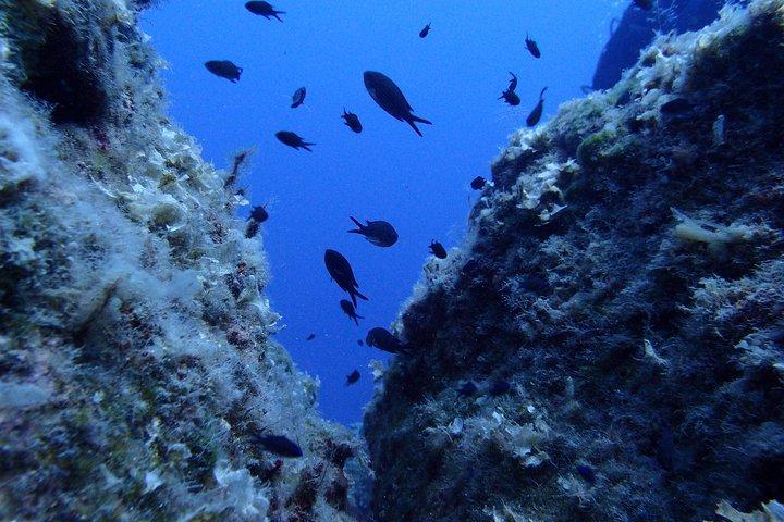 Open Water Diver Course in Lanzarote