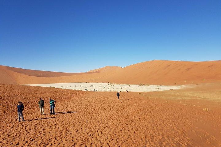 15 Tage Alles über Namibia | Self Drive Lodge