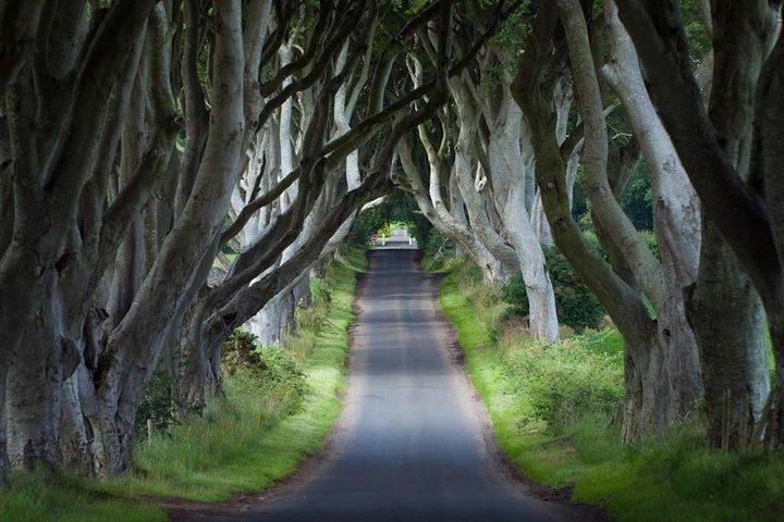 ダブリンを含む2日間の「Game of Thrones」レールツアーベルファストと巨人の土手道