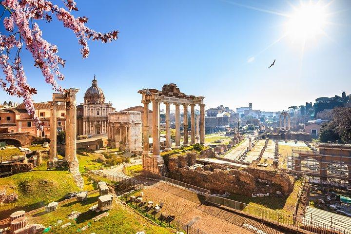 Il meglio del tour privato con conducente di Roma