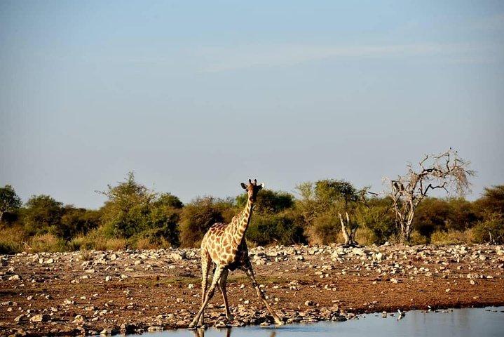 12-Daagse Namibië in Plus | Self Drive Lodge