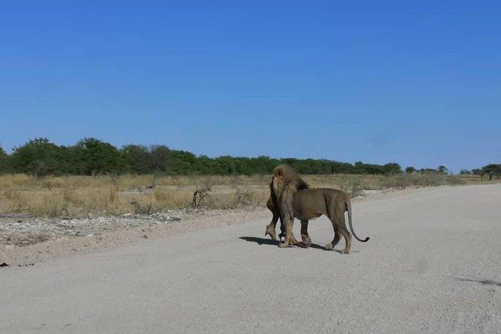 12-Daagse Namibië in Plus | Self Drive Lodge