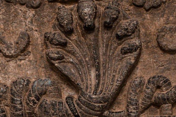 Chennai Stone oder Bronze oder Prehistory Museum Walk von einem Geschichtenerzähler mit Taxi