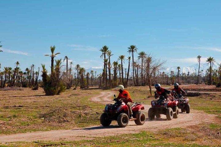 "Majorelle Garden & Palmeraie Quad Biking: Marrakech Adventure"