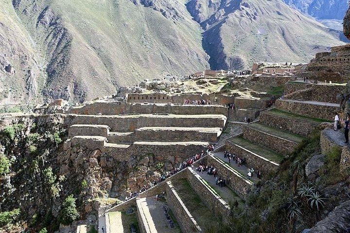 Cusco, Machu Picchu et Manu (circuit de 8 jours)