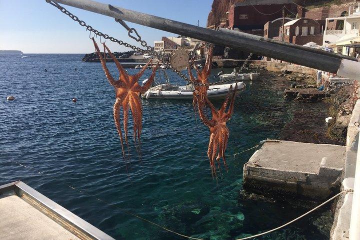 Excursão de meio dia de Santorini Sightseeing Shore