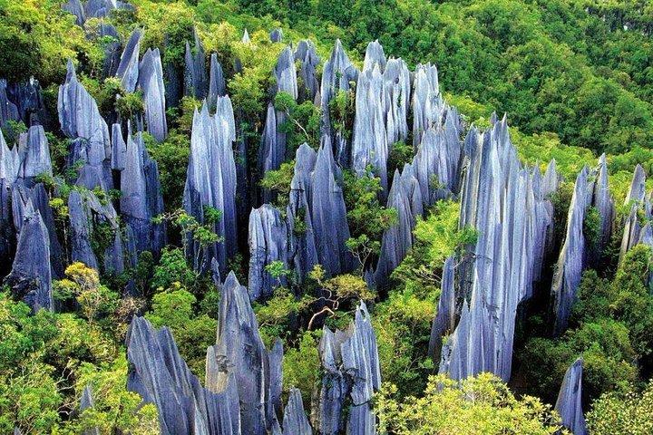 3-dagars privat avkopplande tur i Kunming inklusive stenskog