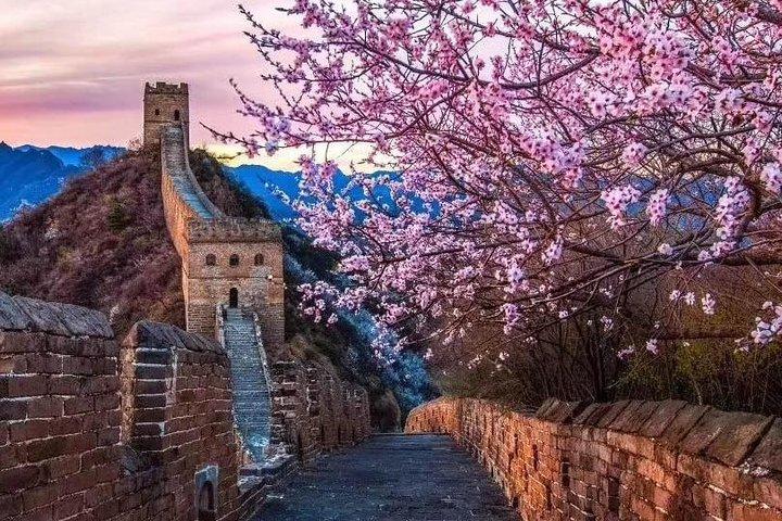Journée tout compris: Mutianyu Great Wall, parc olympique avec déjeuner de canard pékinois
