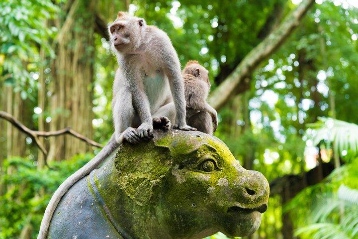 Bästa av Ubud-attraktioner: Privat all-inclusive-tur