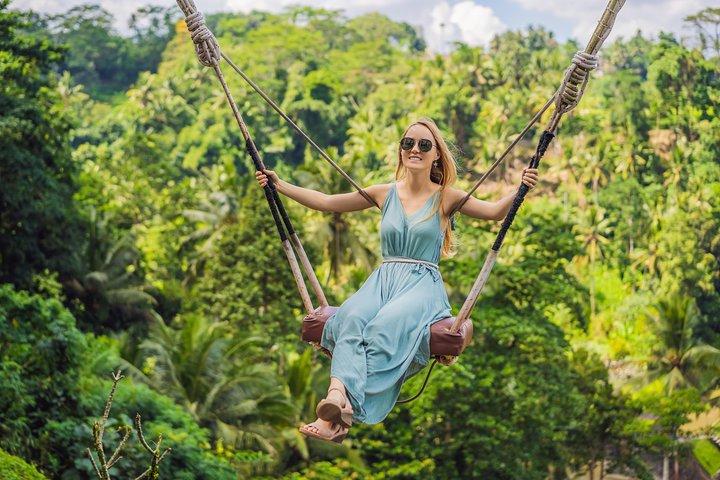 Excursion privée : points forts d'Ubud
