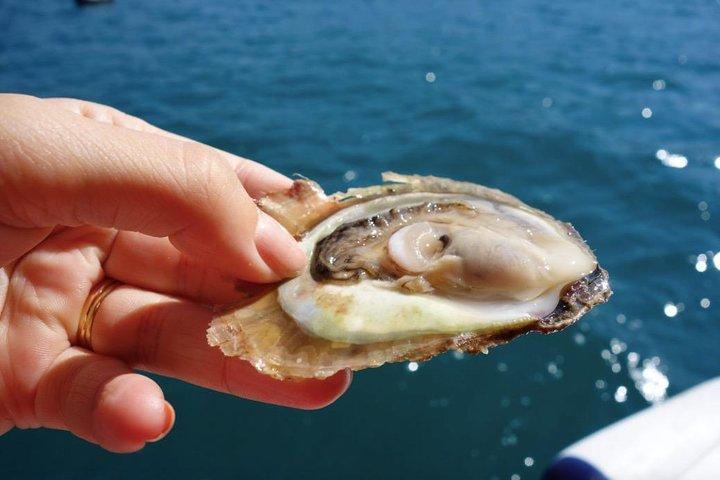 Klassische Tour mit Weinproben aus Dubrovnik