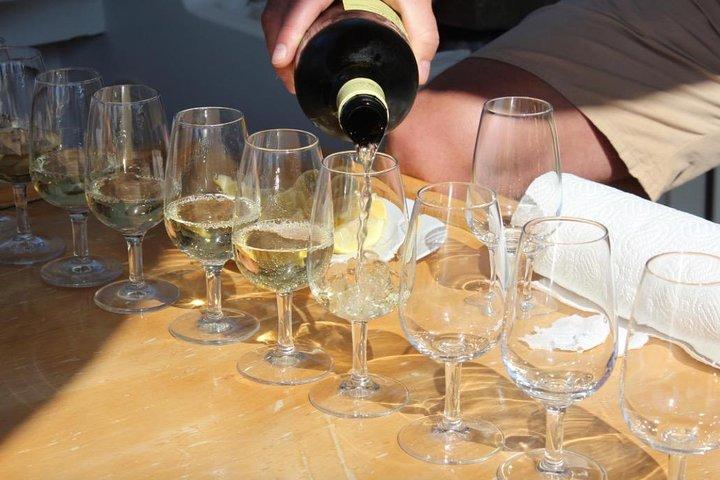 Klassische Tour mit Weinproben aus Dubrovnik